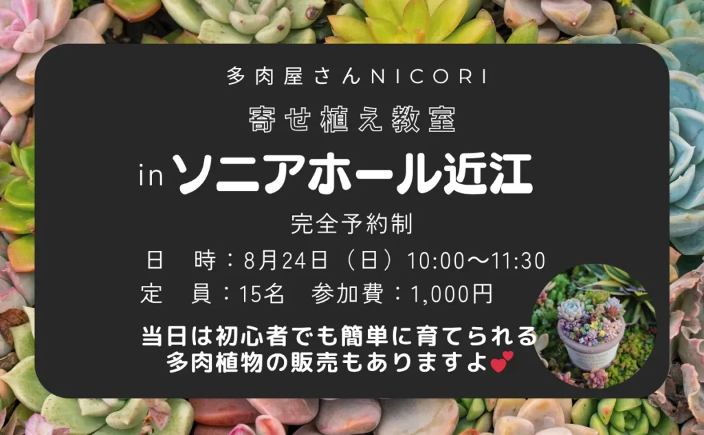 多肉植物教室